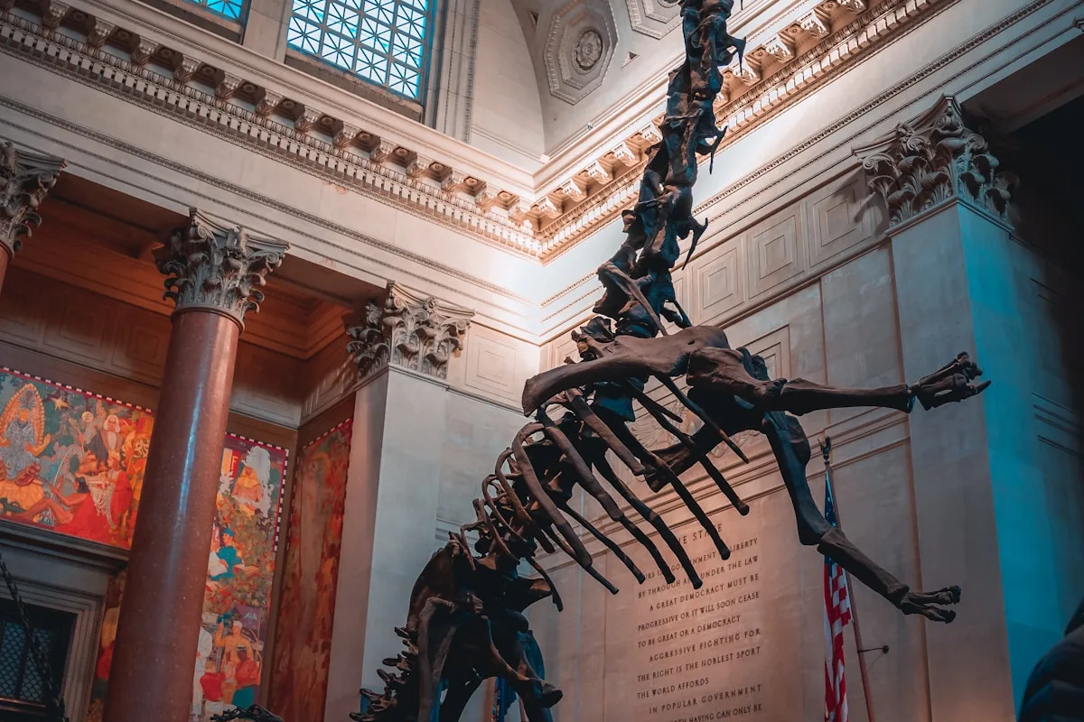 Shanghai Natural History Museum